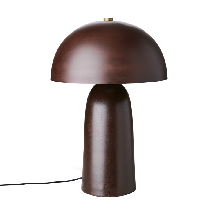 Fungi Lampa L