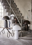 Fungi Lampa L