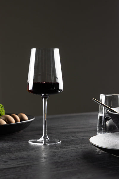 Shine Vinglas 2-pack